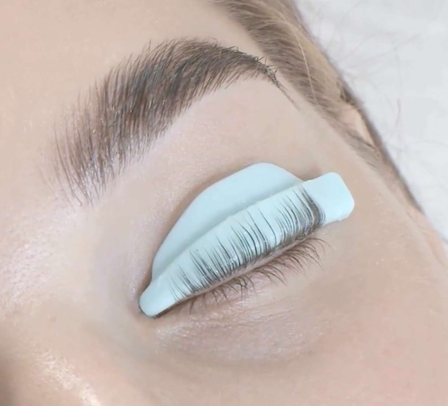 lash lift shield soft easy