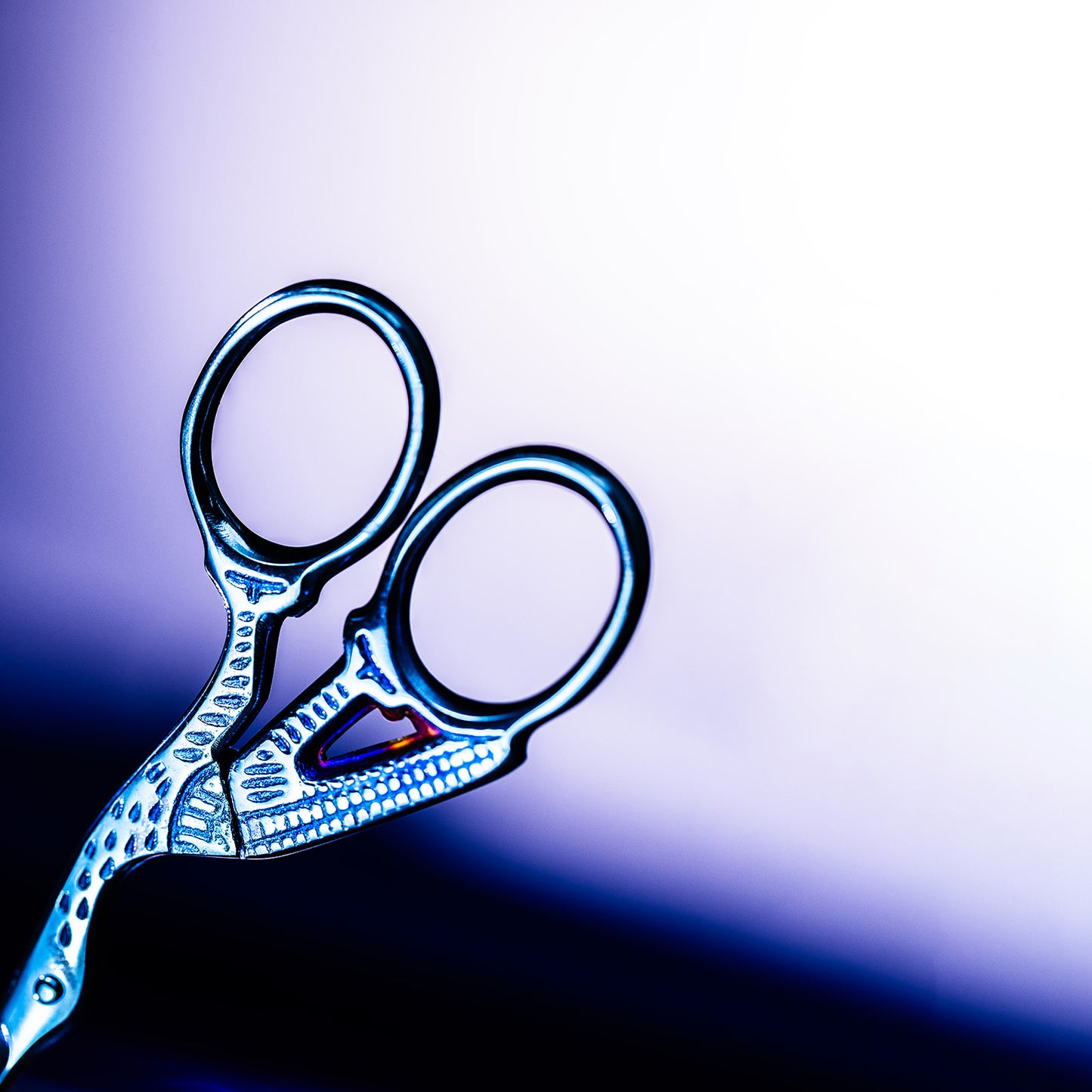 Blue Bird Brow Scissors - Mrs.Highbrow Professional