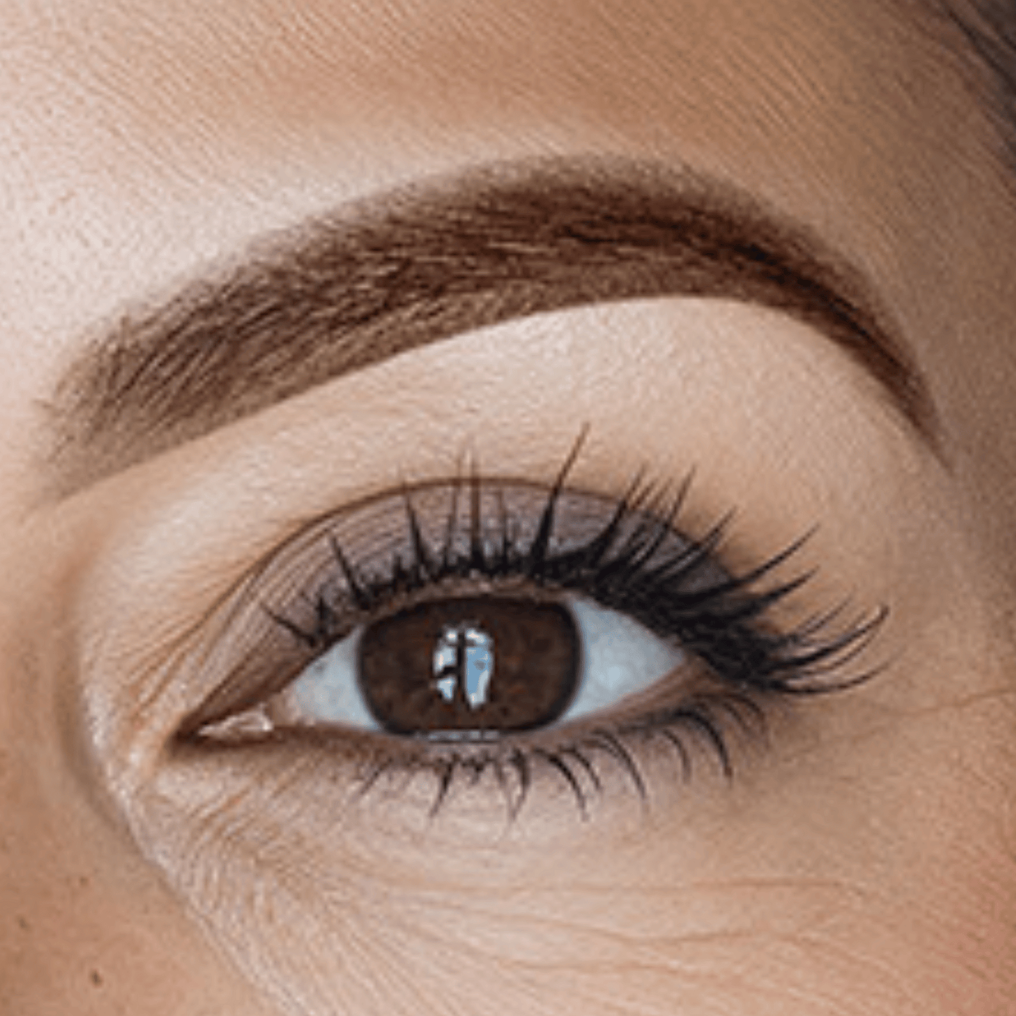 PMU Pigment 16 - Mrs.Highbrow Professional