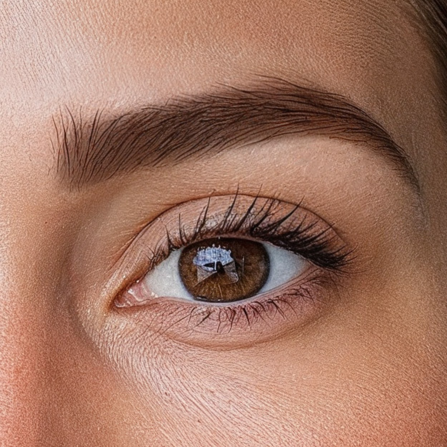 Présentoir Micro Brow Liner