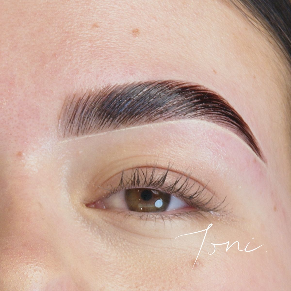 Complete Set Masterclass Brow Lamination X Hybrid Brows - Mrs. Highbrow