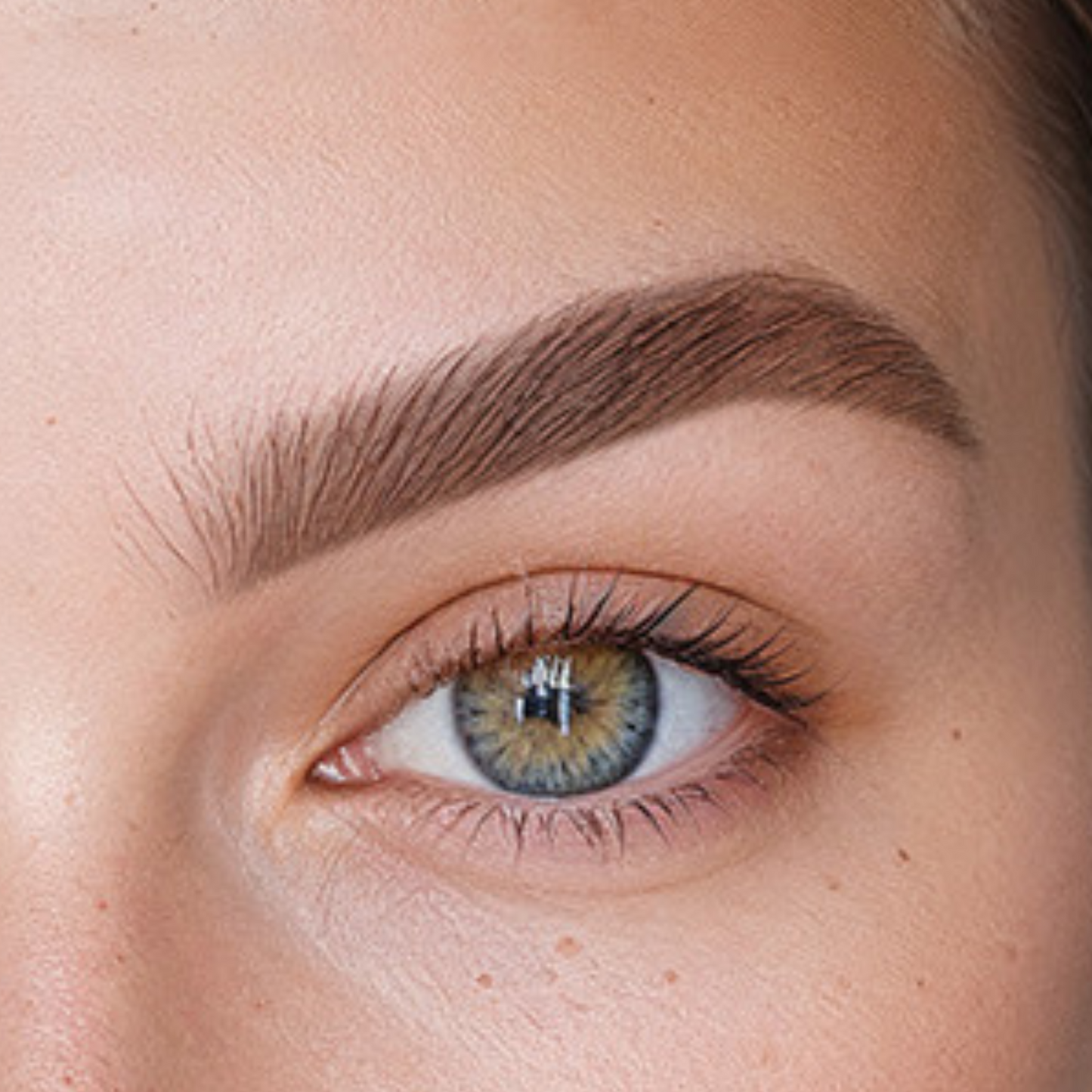 Présentoir Powder Brow Pencil