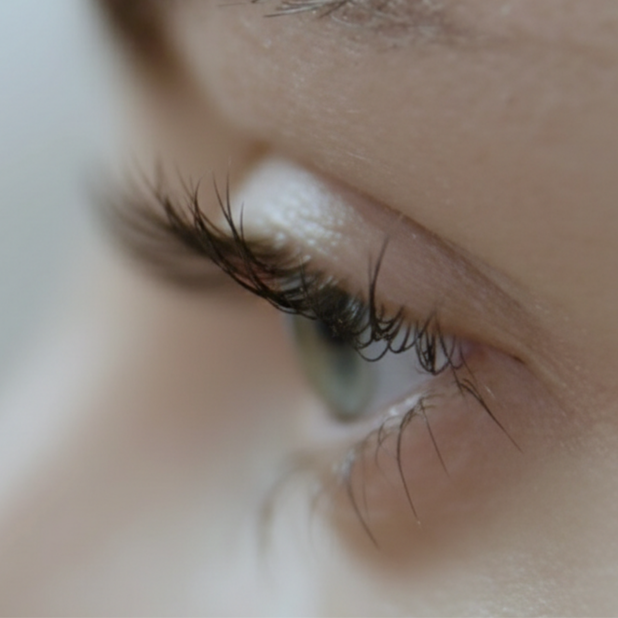 1-Shot Lift Complete Set - Mrs. Highbrow