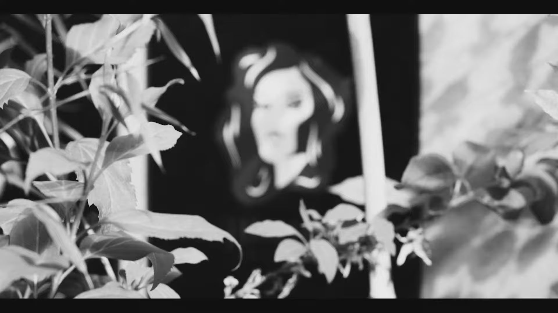 Video laden: 